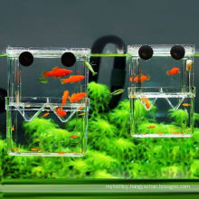 Various Custom Acrylic Fish Tanks for Sale